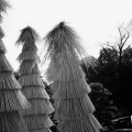 ふっと一息。写真を公開致します。
