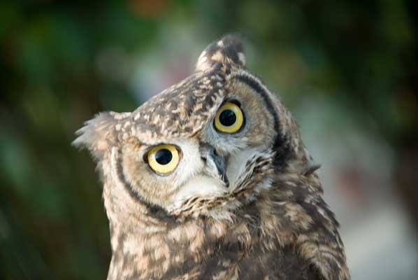 神戸花鳥園にて。