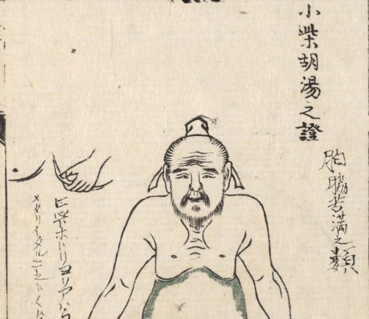 小柴胡湯