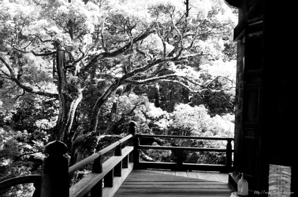 各々の歴史をまとう