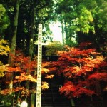 延暦寺前の階段です。