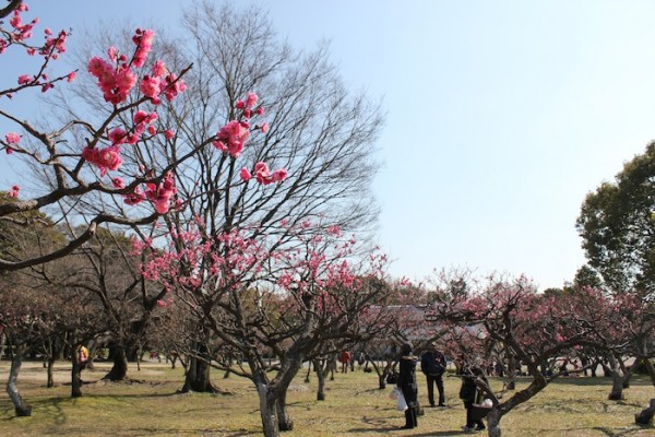 緑地公園にて