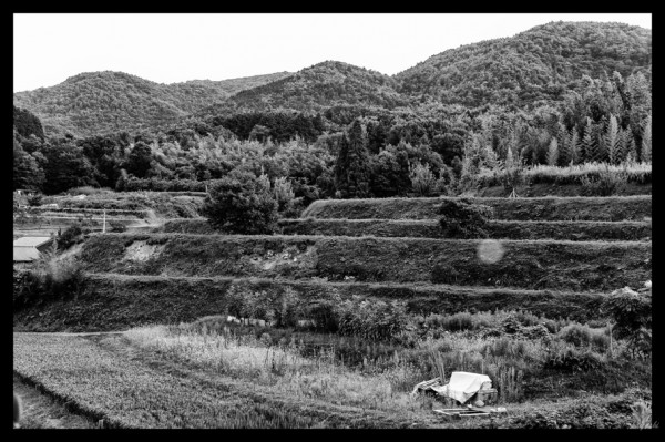 自然の美しさを