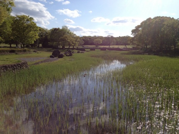 万博公園