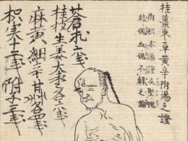 桂姜棗草黄辛附湯