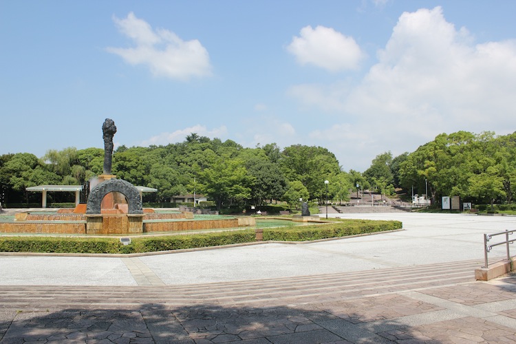 7月初　緑地公園にて