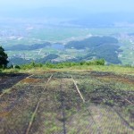 パ… パラグライダー!!!!!!!!