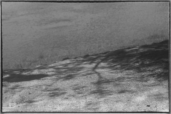 山口県にて。/ Leica M-Monochrome+TELE-Elmarit 90mm