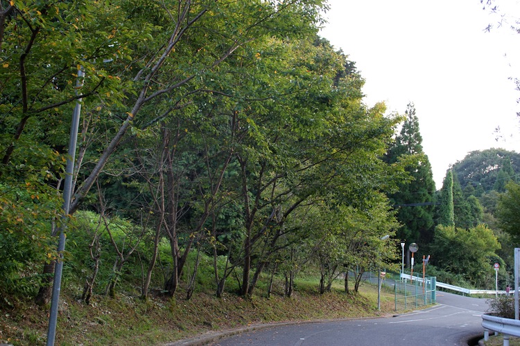 秋分の日の山道