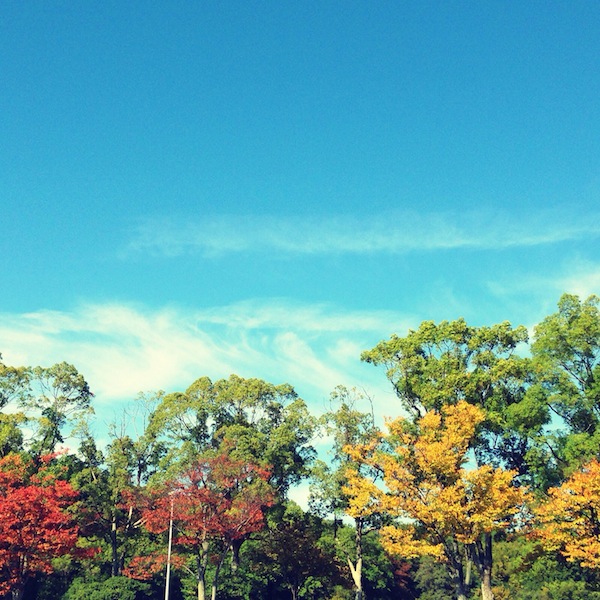 秋空