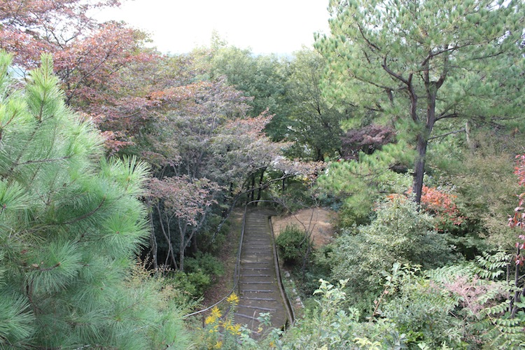 10月下旬大阪にて