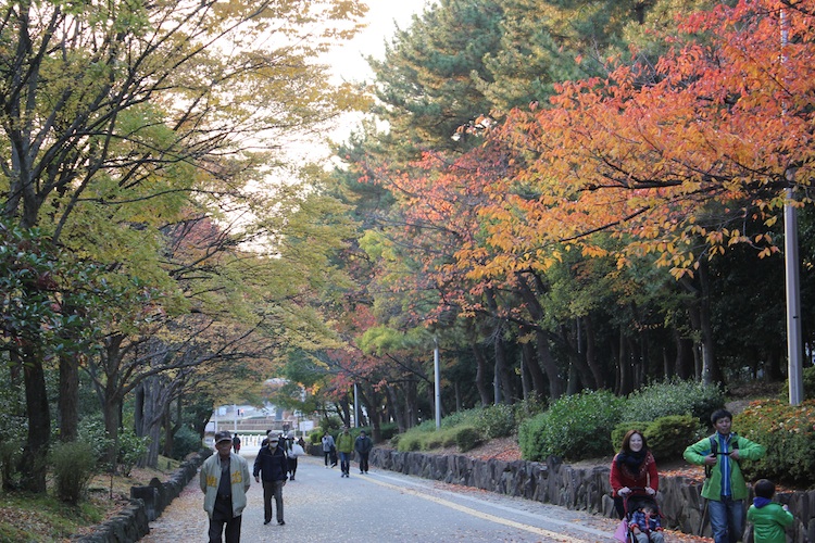 11月末　緑地公園にて