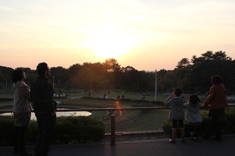 夕焼け（12月初　緑地公園にて）