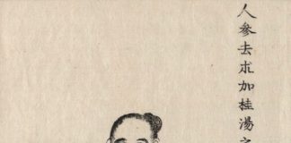 人参去朮加桂湯