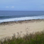 ノースショアの海沿いにて