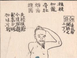 桂枝加竜骨牡蠣湯