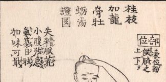 桂枝加竜骨牡蠣湯