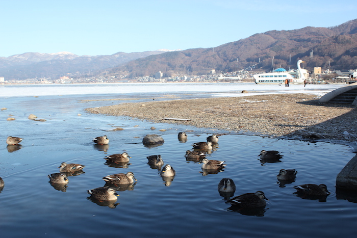 長野県のとある湖にて