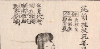 柴胡桂枝乾姜湯