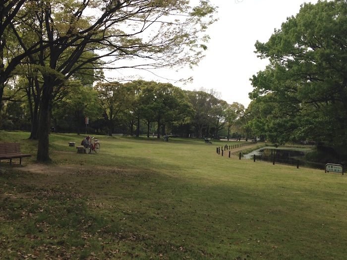 とある公園にて