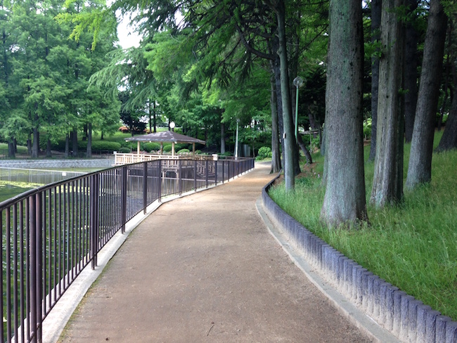 とある公園にて（5月末）