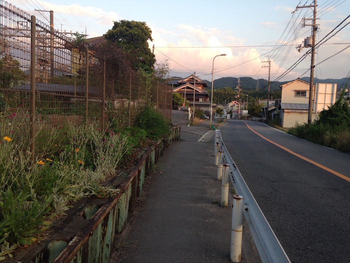 夕暮れ時の道（6月下旬）