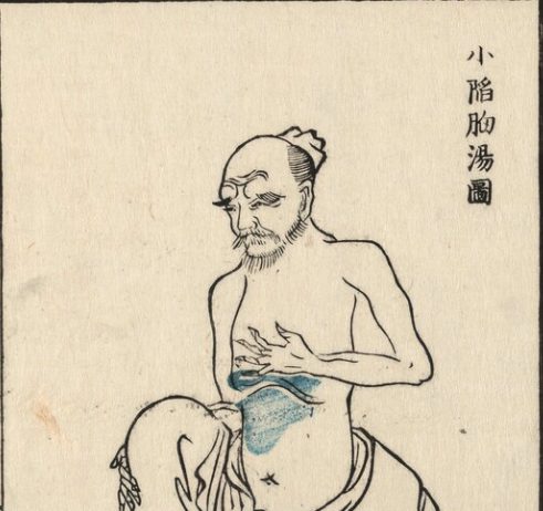 小陥胸湯