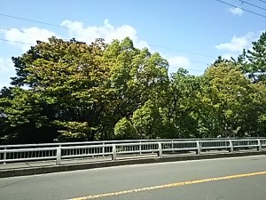 緑地公園西口付近にて