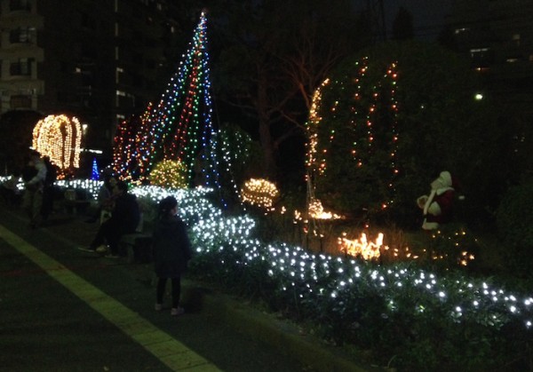 近くの公園にて