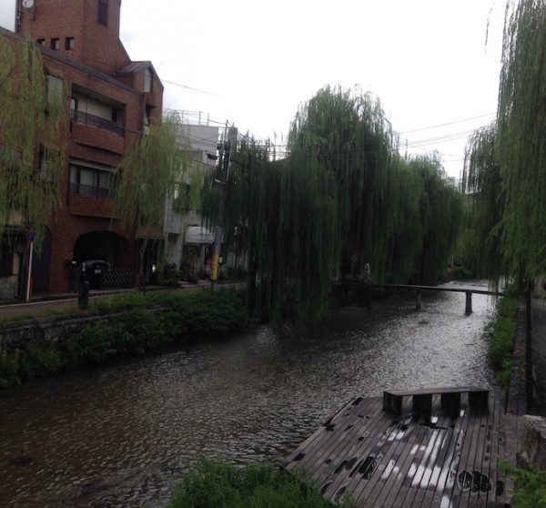 京都のとある河にて