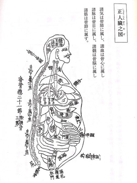 和漢三才図より