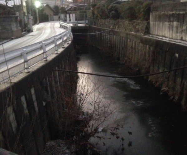 珍しく近所の道路や河が凍りました。