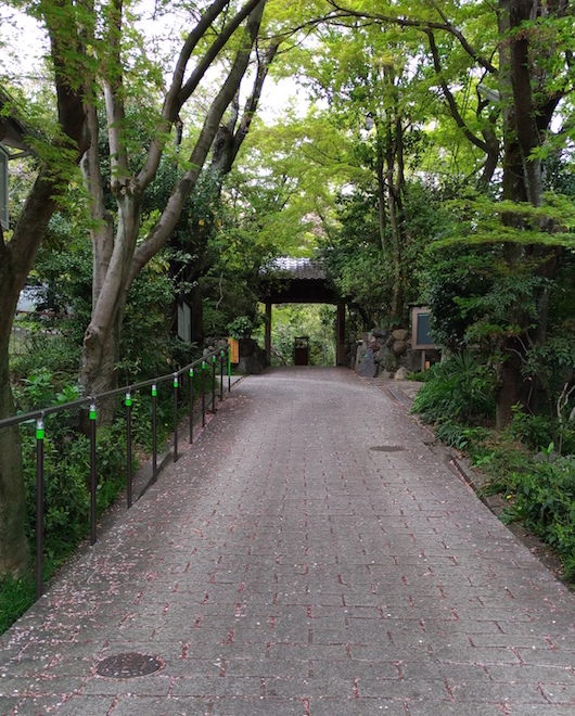 住宅街のお寺