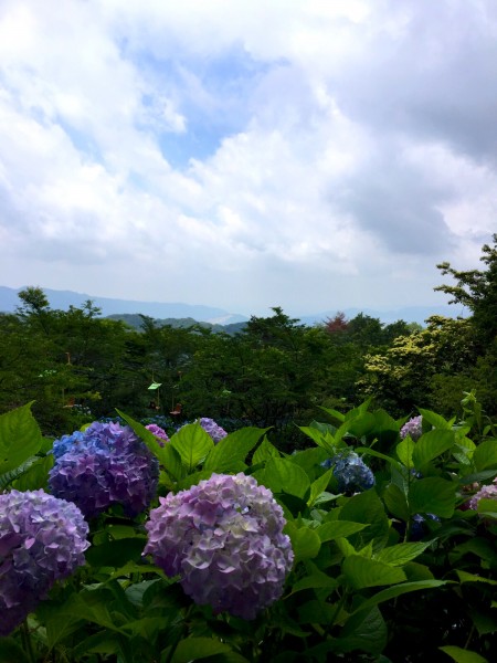 妙見山からの風景