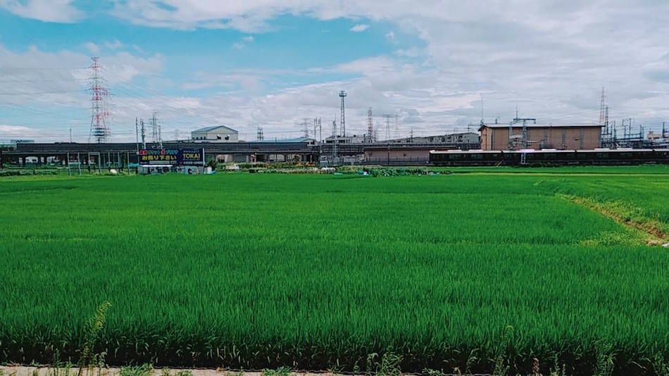 田んぼと阪急電車