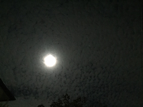 月とウロコ雲
