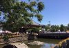 四天王寺の「亀の池」