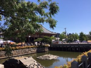 四天王寺の「亀の池」