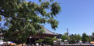 四天王寺の「亀の池」