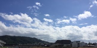 朝9時　猪名川から五月山を見る　