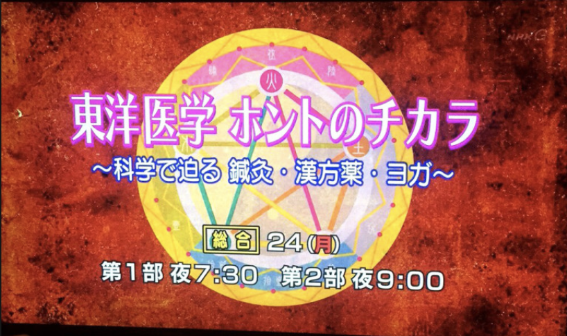 Nhkの東洋医学 鍼灸の特番を観て鍼灸師として感じたこと 鍼灸治療家集団 一鍼堂