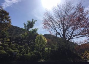 丹波の山中にて　紅葉もちらほら見え始めました