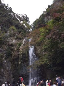 箕面の滝道が久しぶりに開通しました！