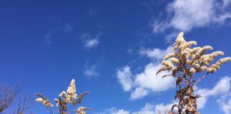 ピリッとした寒さも空は快晴