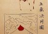 「浅井家腹診法五蔵決用図」鍼灸OSAKA 103号