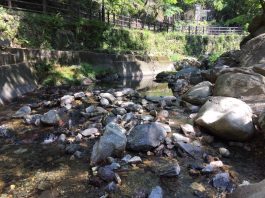 5月にも関わらずまさかの真夏日　川遊び