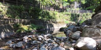 5月にも関わらずまさかの真夏日　川遊び