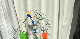 七夕の笹を準備中