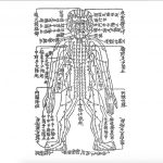 『鍼灸大成　任脈図』