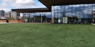 芝生でゴロン